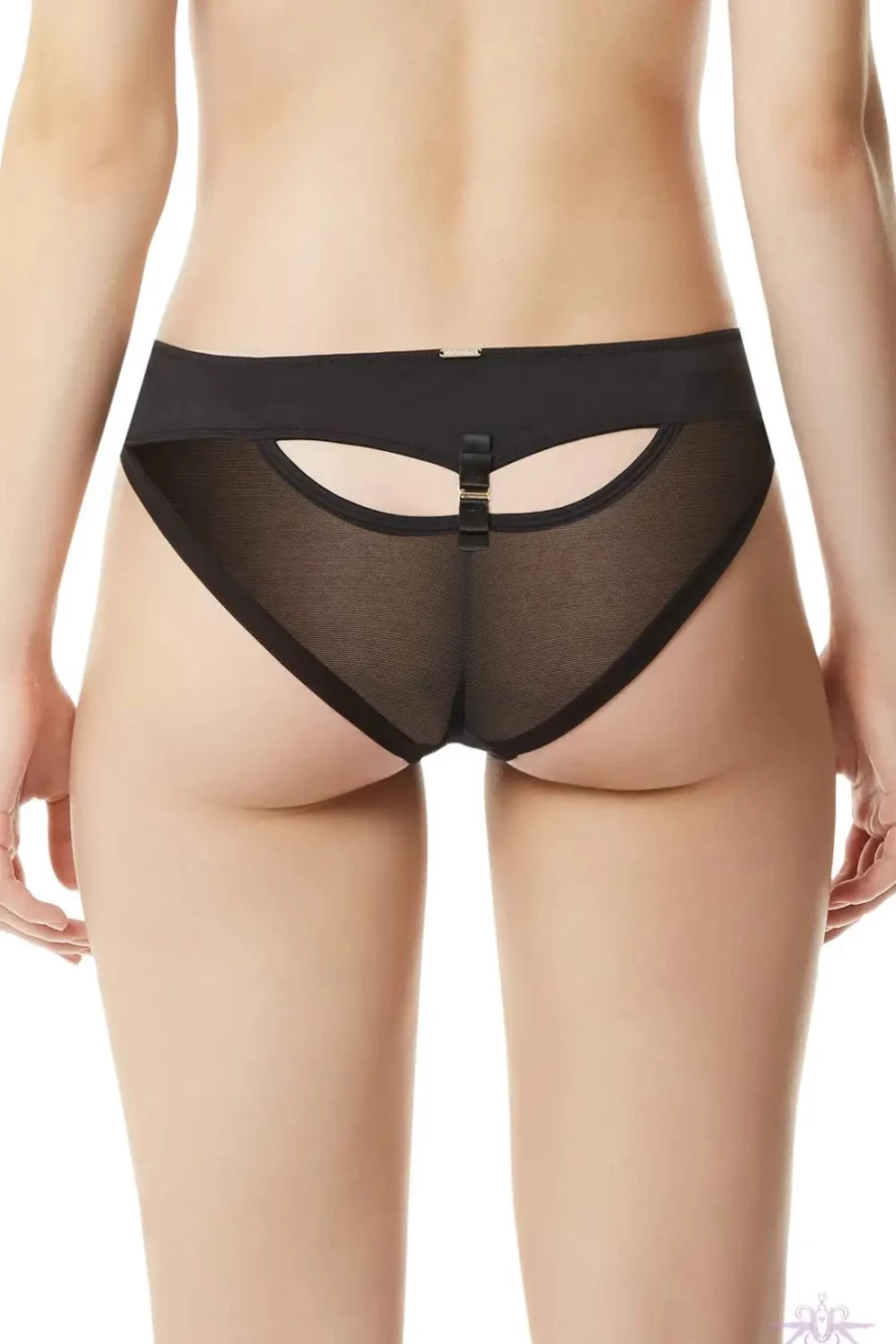 Sexproducts Saffy Bikini Brief - Black Lace Underwear for Women